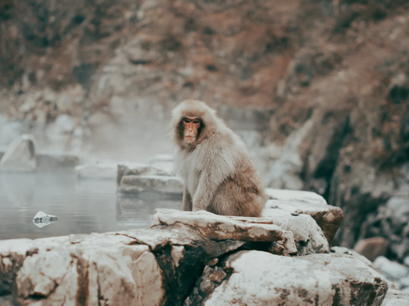 일본 온천 풍경